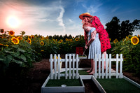 Sunflower Farm