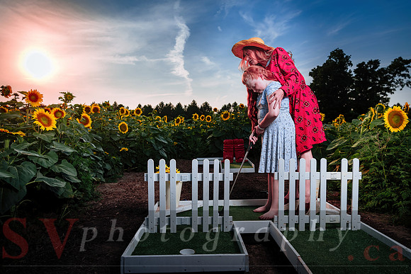 Sunflower Farm