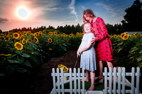 Sunflower Farm