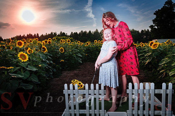 Sunflower Farm