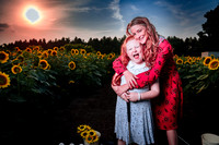 Sunflower Farm