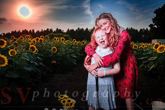 Sunflower Farm