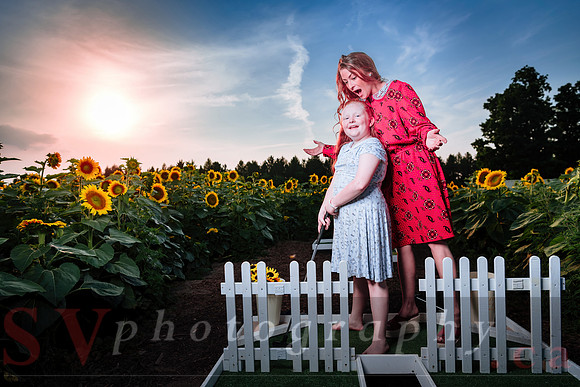 Sunflower Farm
