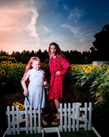 Sunflower Farm