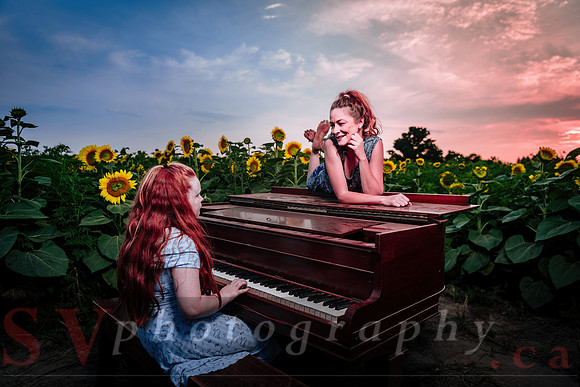 Sunflower Farm