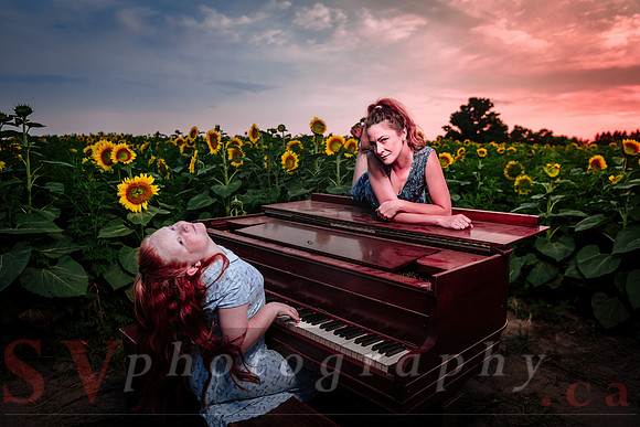 Sunflower Farm