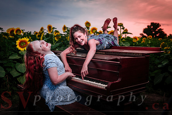 Sunflower Farm