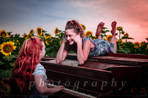 Sunflower Farm