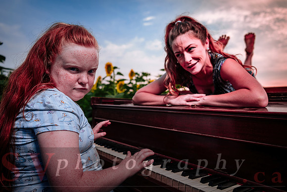 Sunflower Farm