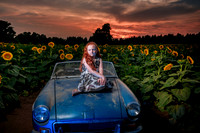 Sunflower Farm