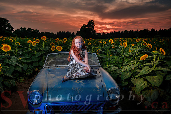 Sunflower Farm