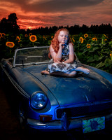Sunflower Farm