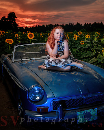 Sunflower Farm