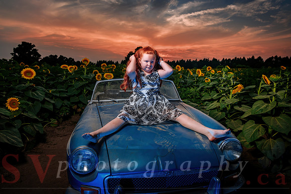 Sunflower Farm