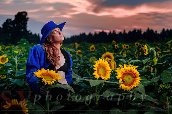 Sunflower Farm