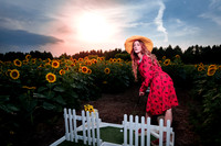 Sunflower Farm
