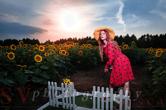 Sunflower Farm