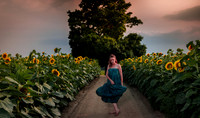 Sunflower Farm
