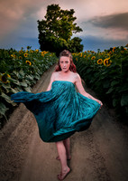 Sunflower Farm