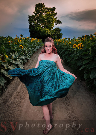 Sunflower Farm
