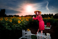 Sunflower Farm