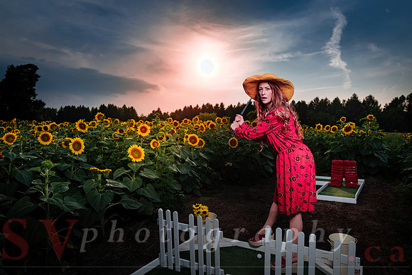 Sunflower Farm