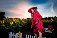 Sunflower Farm