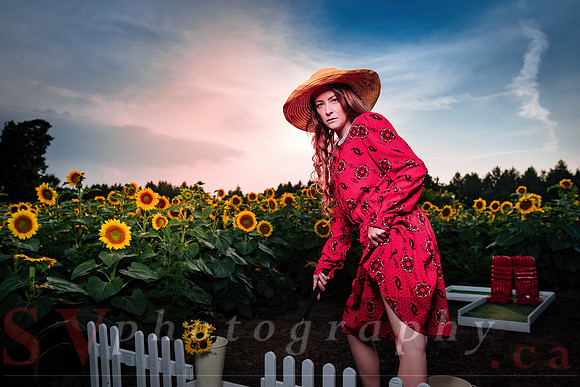 Sunflower Farm
