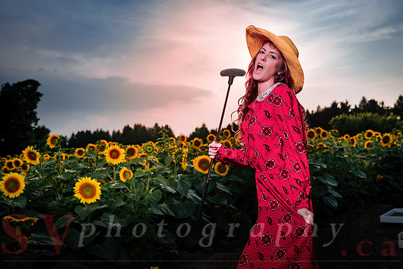 Sunflower Farm