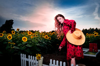 Sunflower Farm