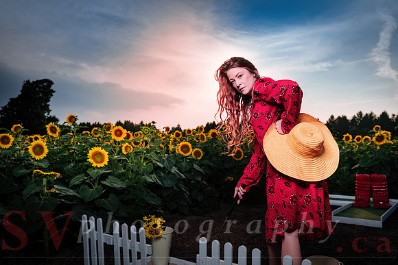 Sunflower Farm