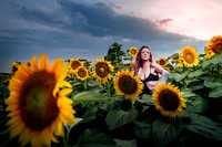 Sunflower Farm