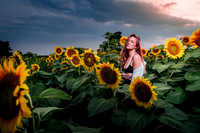 Sunflower Farm
