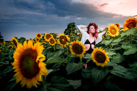 Sunflower Farm