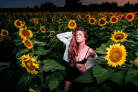 Sunflower Farm