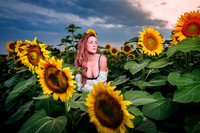 Sunflower Farm
