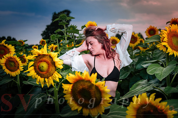 Sunflower Farm