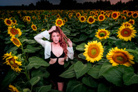 Sunflower Farm