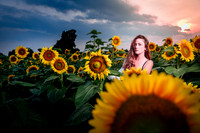 Sunflower Farm