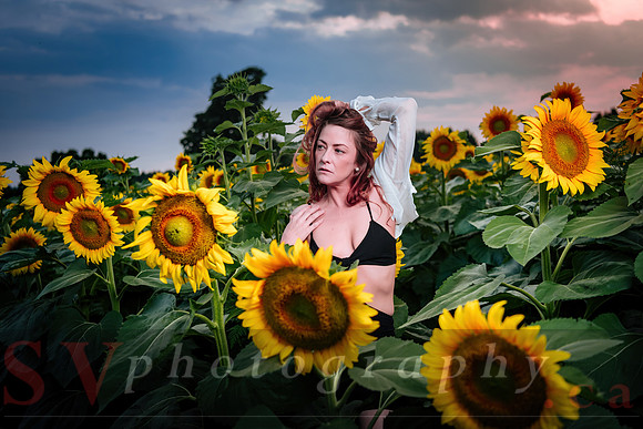 Sunflower Farm