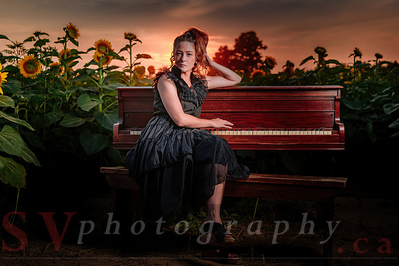 Sunflower Farm