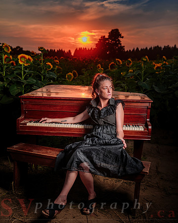 Sunflower Farm