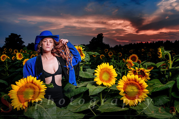 Sunflower Farm