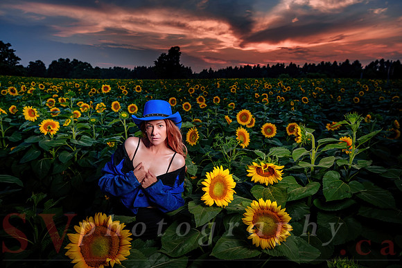 Sunflower Farm