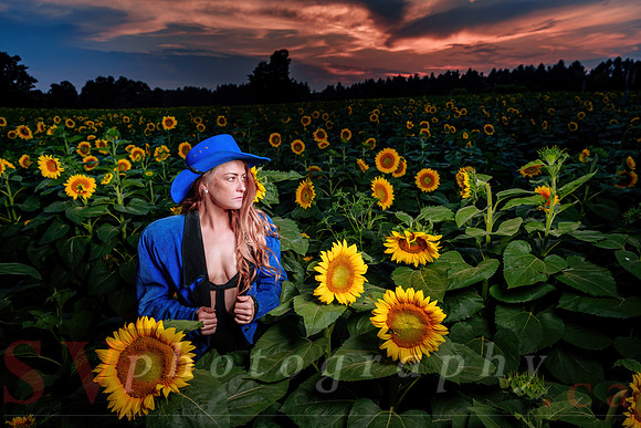 Sunflower Farm