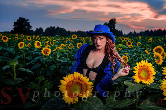 Sunflower Farm