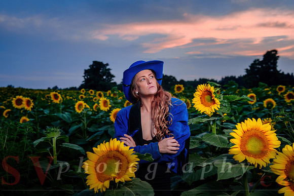 Sunflower Farm