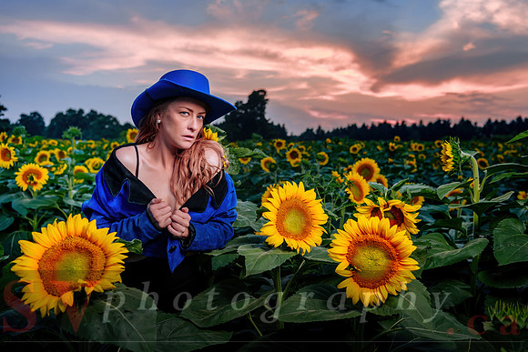 Sunflower Farm