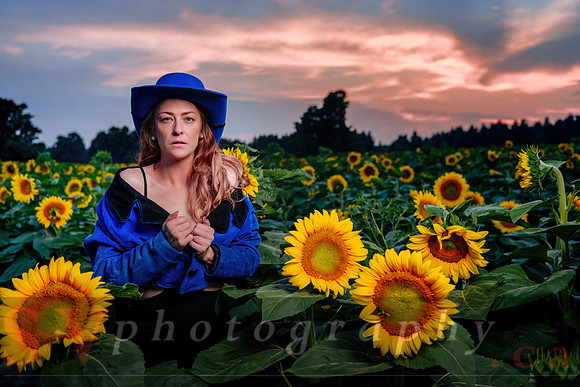 Sunflower Farm