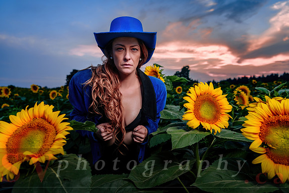 Sunflower Farm